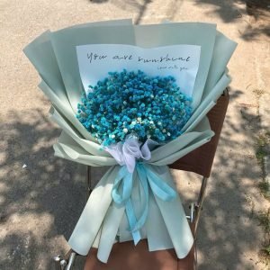 Hoa Baby Xanh Đại Dương - BB4