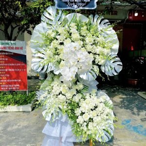Kệ Hoa Tang – HT17