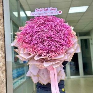 Hoa Baby Hồng Sang Chảnh – BB16