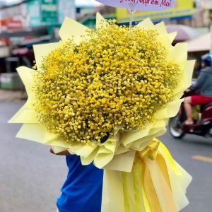 Hoa Baby Vàng Rực Rỡ Tặng Sếp – BB13