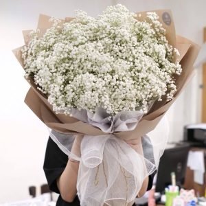 Hoa Baby Trắng Tinh Khôi – BB15