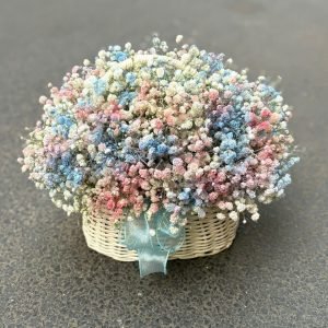 Giỏ Hoa Baby Cầu Vồng May Mắn - GH49