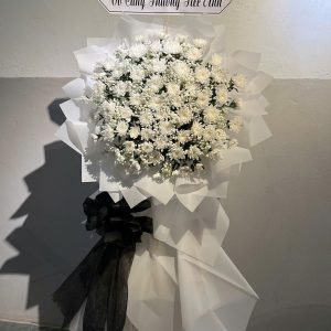 Kệ Hoa Tang - HT72