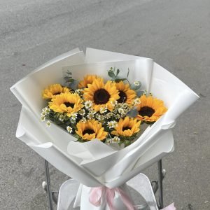 Hoa Hướng Dương-HD23