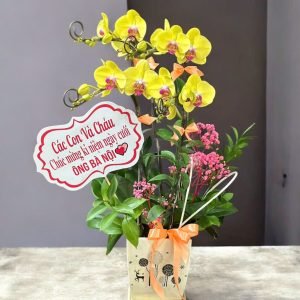 Hoa Lan Hồ Điệp – LHĐ26