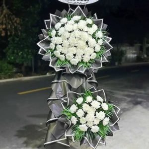 Kệ Hoa Tang – HT87