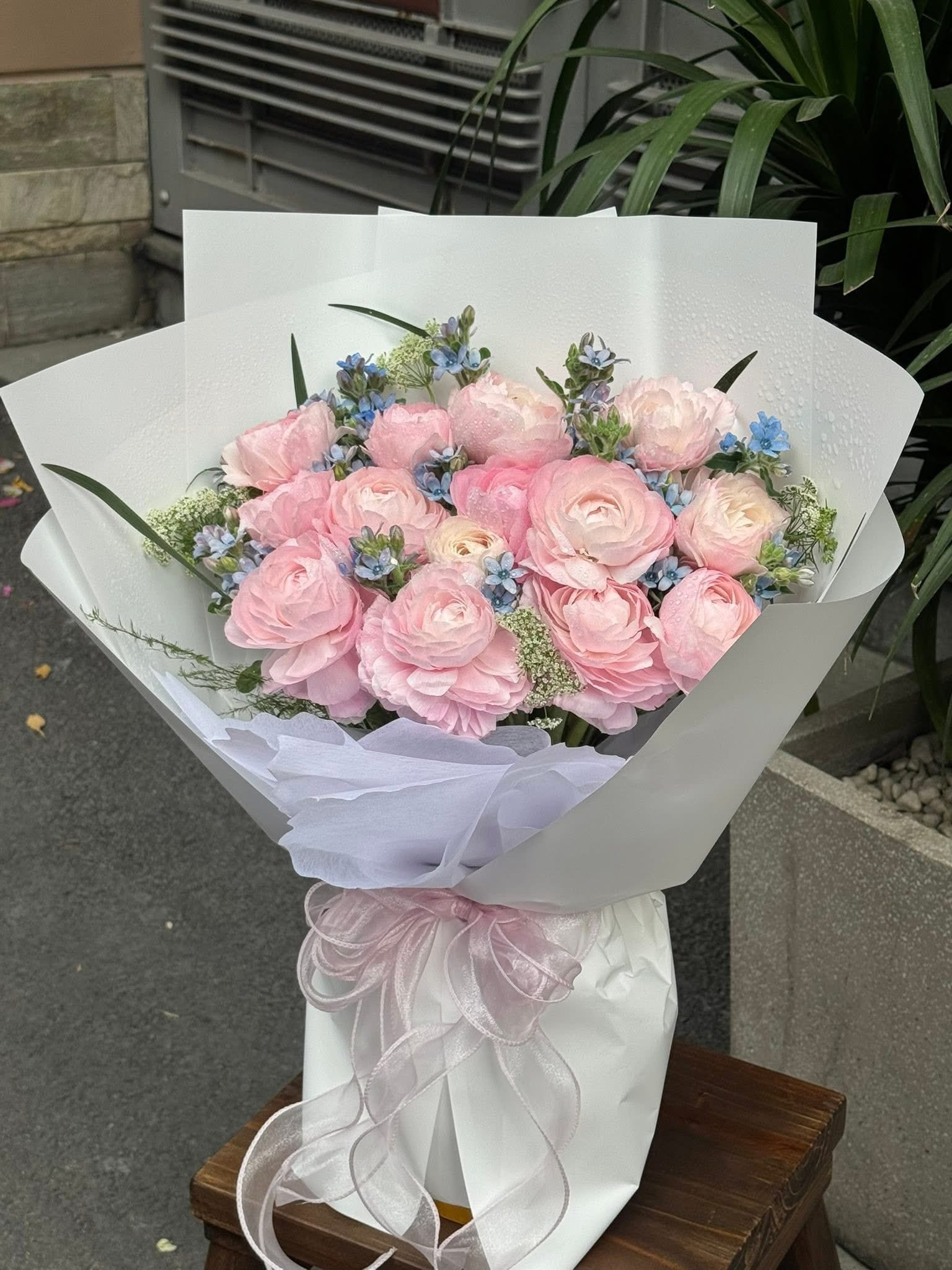 Bó Hoa Mao Lương Ngọt Ngào – CM229