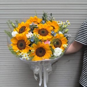Hoa Hướng Dương Lãng Mạn – HD46