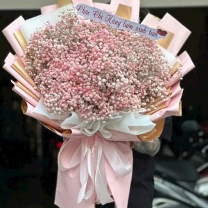 Bó Baby Mây Hồng Công Chúa - BB30