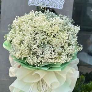 Bó Baby Tone Xanh Lá Dịu Mát - BB32